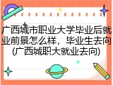 广西城市职业大学毕业后就业前景怎么样，毕业生去向(广西城职大就业去向)