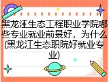 黑龙江生态工程职业学院哪些专业就业前景好，为什么(黑龙江生态职院好就业专业)