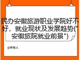 民办安徽旅游职业学院好不好，就业现状及发展趋势("安徽旅院就业前景")