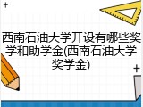 西南石油大学开设有哪些奖学和助学金(西南石油大学奖学金)