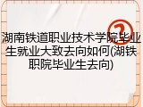 湖南铁道职业技术学院毕业生就业大致去向如何(湖铁职院毕业生去向)