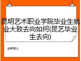 昆明艺术职业学院毕业生就业大致去向如何(昆艺毕业生去向)