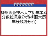 柳州职业技术大学历年录取分数线深度分析(柳职大历年分数线分析)
