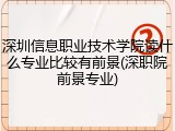 深圳信息职业技术学院读什么专业比较有前景(深职院前景专业)