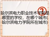 哈尔滨电力职业技术学院是哪里的学校，在哪个城市(哈尔滨电力学院所在城市)