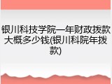 银川科技学院一年财政拨款大概多少钱(银川科院年拨款)