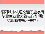 德阳城市轨道交通职业学院毕业生就业大致去向如何(德阳轨交就业去向)