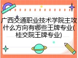 广西交通职业技术学院主攻什么方向有哪些王牌专业(桂交院王牌专业)
