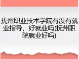 抚州职业技术学院有没有就业指导，好就业吗(抚州职院就业好吗)