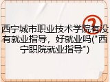 西宁城市职业技术学院有没有就业指导，好就业吗("西宁职院就业指导")