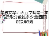 攀枝花攀西职业学院是一本吗录取分数线多少(攀西职院录取线)