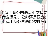 上海工商外国语职业学院是什么级别，公办还是民办(上海工商外国语院校性质)