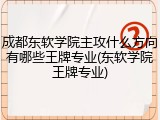 成都东软学院主攻什么方向有哪些王牌专业(东软学院王牌专业)