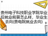 贵州电子科技职业学院毕业后就业前景怎么样，毕业生去向(贵电院就业去向)