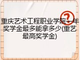 重庆艺术工程职业学院一年奖学金最多能拿多少(重艺最高奖学金)