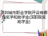 深圳城市职业学院开设有哪些奖学和助学金(深职院奖助学金)