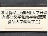 漯河食品工程职业大学开设有哪些奖学和助学金(漯河食品大学奖助学金)