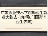 广东职业技术学院毕业生就业大致去向如何(广职院毕业生去向)