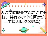 大兴安岭职业学院是否有分校，共有多少个校区(大兴安岭职院校区数量)