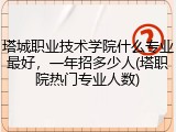 塔城职业技术学院什么专业最好，一年招多少人(塔职院热门专业人数)