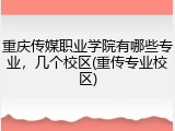 重庆传媒职业学院有哪些专业，几个校区(重传专业校区)