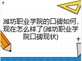 潍坊职业学院的口碑如何，现在怎么样了(潍坊职业学院口碑现状)