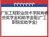 广东工程职业技术学院有哪些奖学金和助学金呢(广工职院奖助学金)