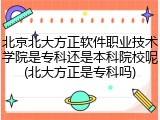 北京北大方正软件职业技术学院是专科还是本科院校呢(北大方正是专科吗)