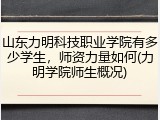 山东力明科技职业学院有多少学生，师资力量如何(力明学院师生概况)