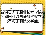 新疆石河子职业技术学院就读期间可以申请哪些奖学金(石河子职院奖学金)