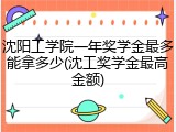 沈阳工学院一年奖学金最多能拿多少(沈工奖学金最高金额)