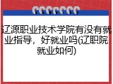 辽源职业技术学院有没有就业指导，好就业吗(辽职院就业如何)