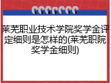 莱芜职业技术学院奖学金评定细则是怎样的(莱芜职院奖学金细则)