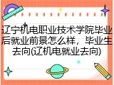 辽宁机电职业技术学院毕业后就业前景怎么样，毕业生去向(辽机电就业去向)