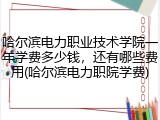 哈尔滨电力职业技术学院一年学费多少钱，还有哪些费用(哈尔滨电力职院学费)