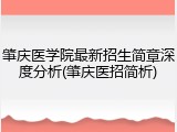 肇庆医学院最新招生简章深度分析(肇庆医招简析)