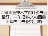 西藏职业技术学院什么专业最好，一年招多少人(西藏职院热门专业招生数)
