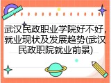 武汉民政职业学院好不好，就业现状及发展趋势(武汉民政职院就业前景)