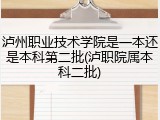 泸州职业技术学院是一本还是本科第二批(泸职院属本科二批)