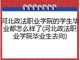河北政法职业学院的学生毕业都怎么样了(河北政法职业学院毕业生去向)