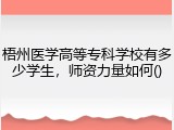 梧州医学高等专科学校有多少学生，师资力量如何()