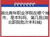 湖北青年职业学院在哪个城市，是本科吗，第几批(湖北职院批次本科城)