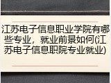 江苏电子信息职业学院有哪些专业，就业前景如何(江苏电子信息职院专业就业)