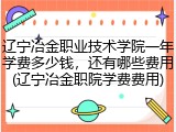 辽宁冶金职业技术学院一年学费多少钱，还有哪些费用(辽宁冶金职院学费费用)