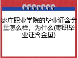 枣庄职业学院的毕业证含金量怎么样，为什么(枣职毕业证含金量)