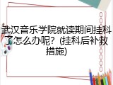武汉音乐学院就读期间挂科了怎么办呢？(挂科后补救措施)