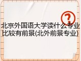 北京外国语大学读什么专业比较有前景(北外前景专业)
