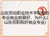 山东劳动职业技术学院哪些专业就业前景好，为什么(山东劳职院好就业专业)