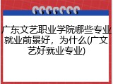 广东文艺职业学院哪些专业就业前景好，为什么(广文艺好就业专业)