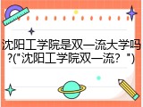 沈阳工学院是双一流大学吗?("沈阳工学院双一流？")